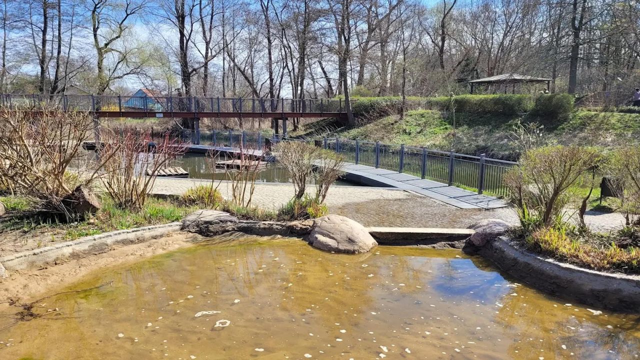 AreaSummer5KM AreaSummer5KM